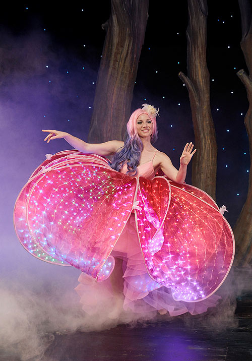 Die Fee -Cinderella Das Musical &copy;Foto: Michael Boehmlaender 